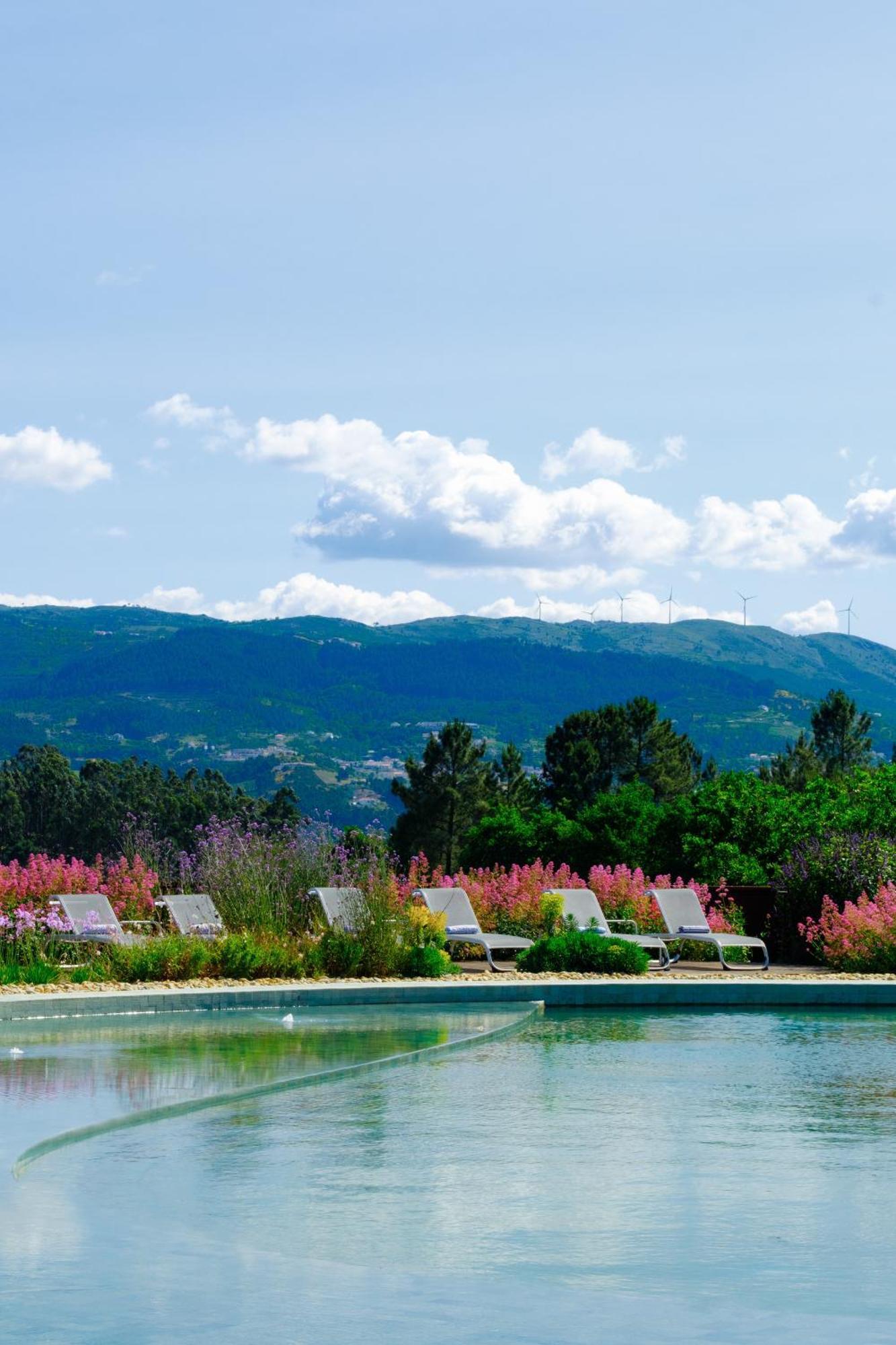Lavandeira Douro Nature & Wellness Ancede Exterior foto