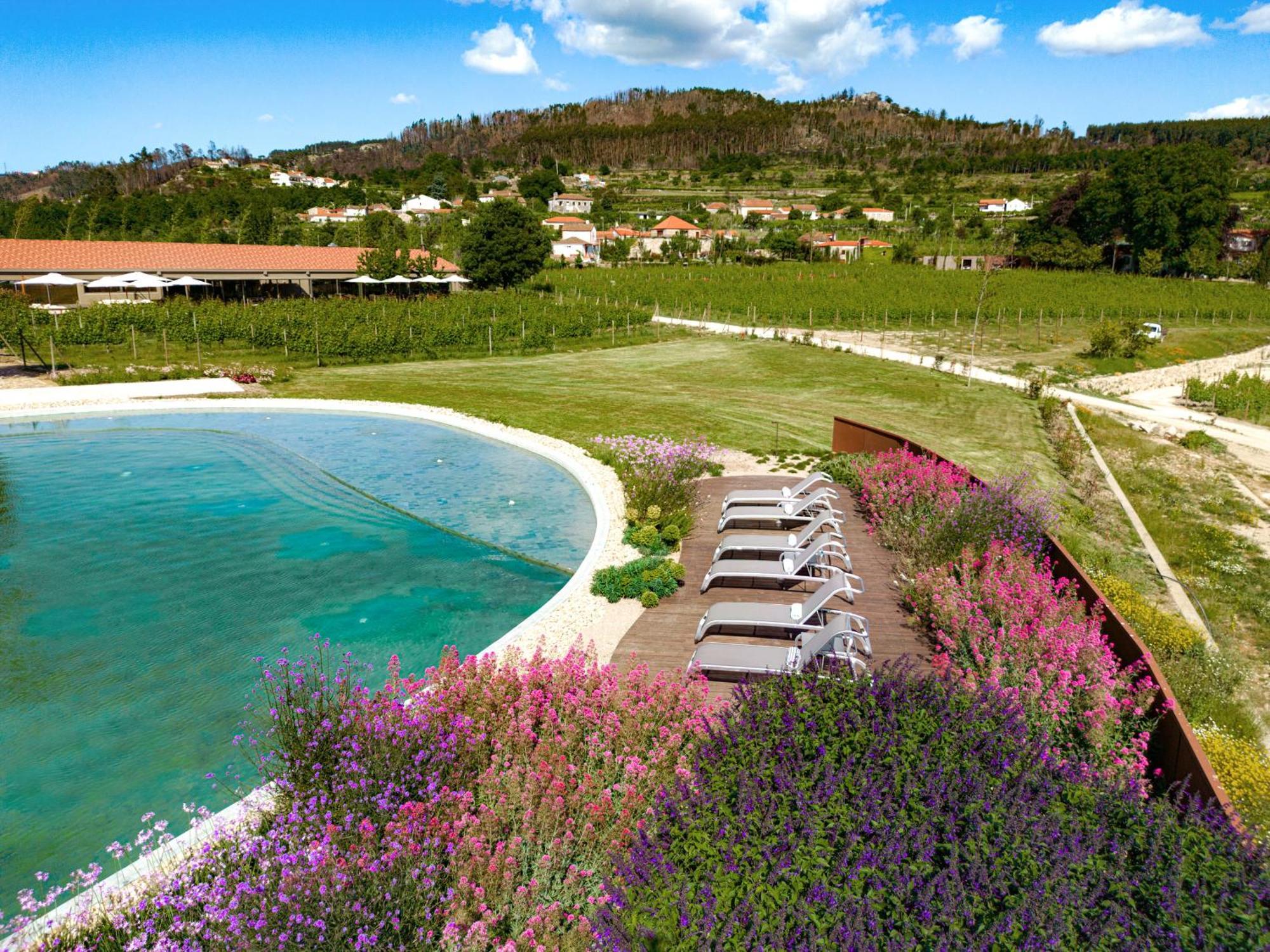 Lavandeira Douro Nature & Wellness Ancede Exterior foto
